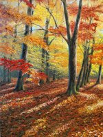policromie-dautunno-autumn-polychromes