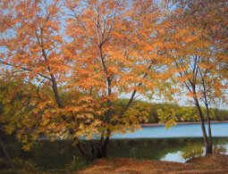 5fadd47e-a8e7-4b2f-9040-d45653d1ef93 5fadd47e-a8e7-4b2f-9040-d45653d1ef93