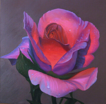 74363b61-0db8-42a0-a6c5-847cfc703c76 74363b61-0db8-42a0-a6c5-847cfc703c76