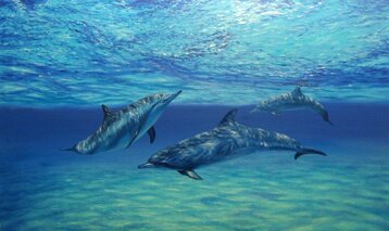 c7b15d09-ca9f-43f5-b368-c24d06c68225