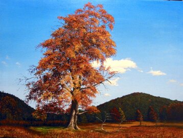 a9be06c7-97c8-488b-b848-67d8a222c813 a9be06c7-97c8-488b-b848-67d8a222c813