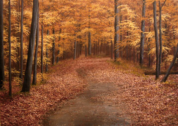 c57e033e-1597-475e-9593-41ac772c094c c57e033e-1597-475e-9593-41ac772c094c