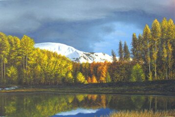 81bc6e4f-a4db-48ff-8f74-ccc3e3f0bbdb 81bc6e4f-a4db-48ff-8f74-ccc3e3f0bbdb