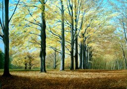 981d7066-8144-44ff-8dec-858536a0b6c3 981d7066-8144-44ff-8dec-858536a0b6c3