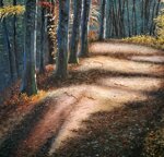 filtri-di-luce-light-filters