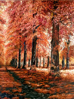 il-sentiero-dei-patriarchi-greenway-of-patriarch