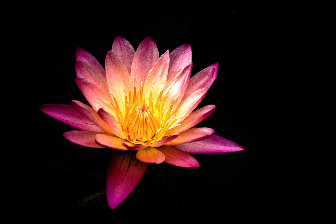 Yoga Serenit&agrave; e salute by Toni Spagone