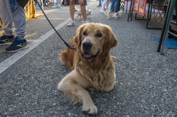 cd6245ee-086d-42cb-b979-9700690dffe9