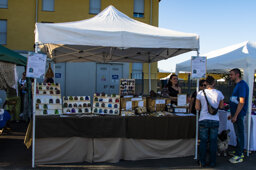 6e6d9347-5755-4719-91a6-ca19a23f3972