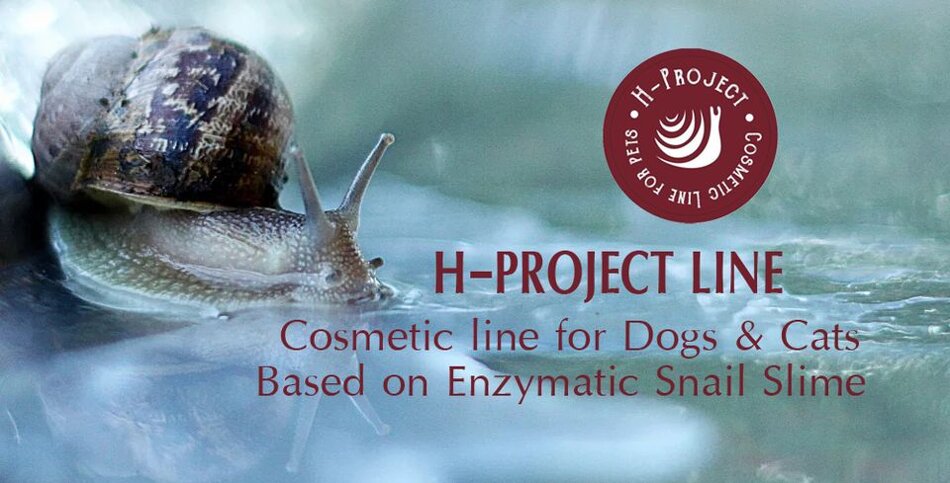 6d6264be-26b8-4510-835e-f7222d22e423