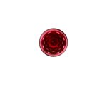 saint-louis-flute-da-champagne-rosso-bubbles