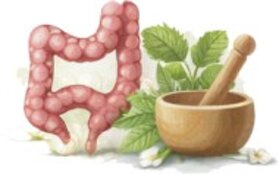 gondfiore e intestino.jpeg