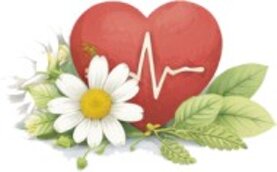 cuore e circolazione.jpeg