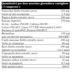 il-salutiere-digest-ev