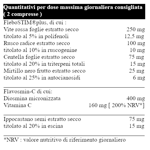 il-salutiere-sollievo-venis