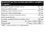 il-salutiere-new-harmony