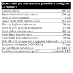 il-salutiere-carbon-ev-ferment