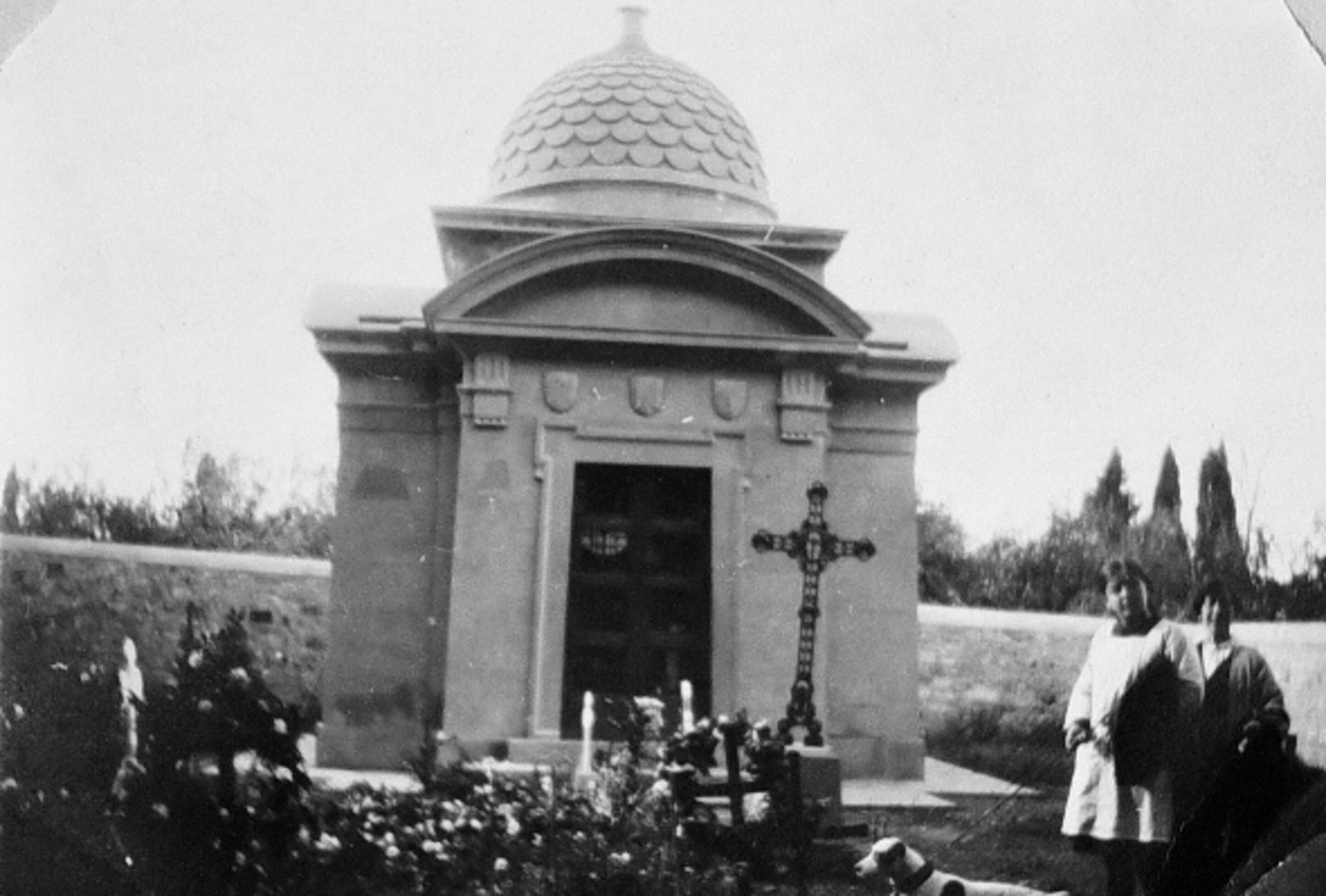 a705cdf5-cd69-4dc4-997d-49c7ba0c3e7b