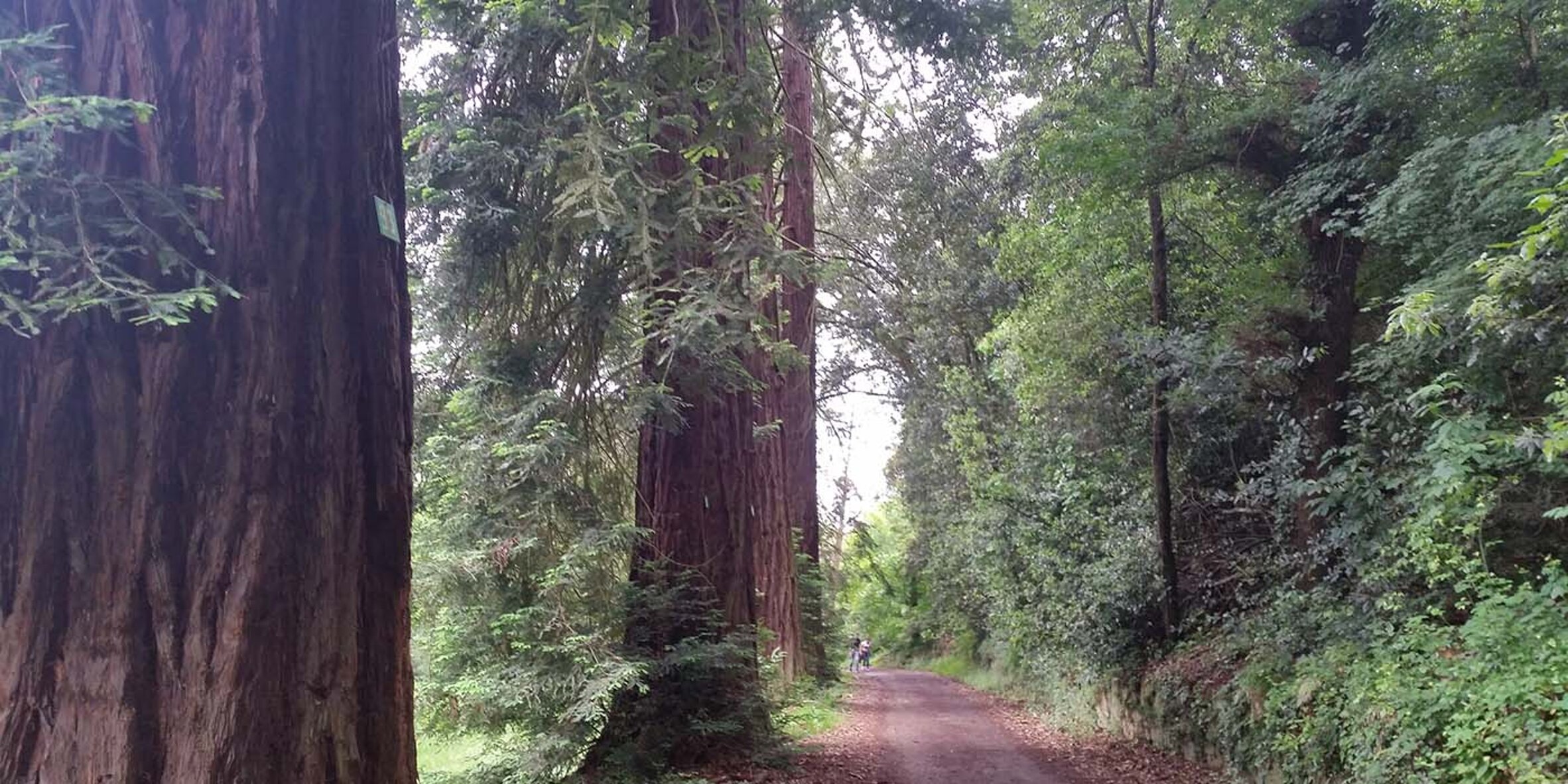 37f4bf8c-09fb-4bc5-85ac-8ff0453edf74