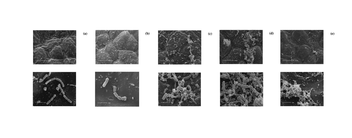 20f53ad2-c8a9-46e4-8ddd-6dbab55236e1