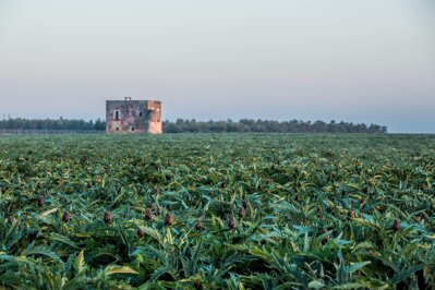 84c83f0d-9c1a-4b0d-b68d-aa721914279c