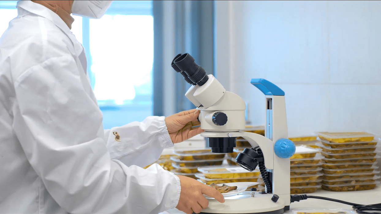 9f4aecb2-c0ca-4697-ba32-879aee49cd8f