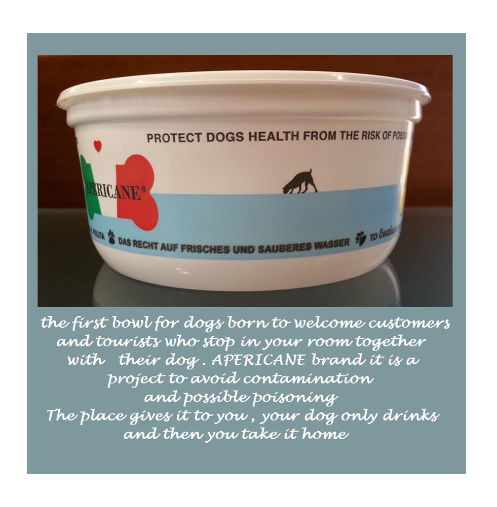 6d4702ab-5c7e-49cf-9756-9ae85fbae9c8