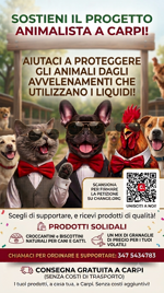 aperipollo