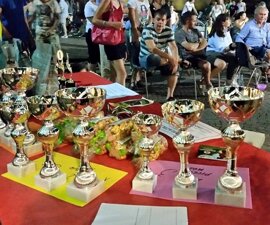 449429bf-6806-4a4f-8ae4-400439284cb8