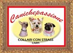 canichepassione-seleziona-il-prodotto-dalle-varianti