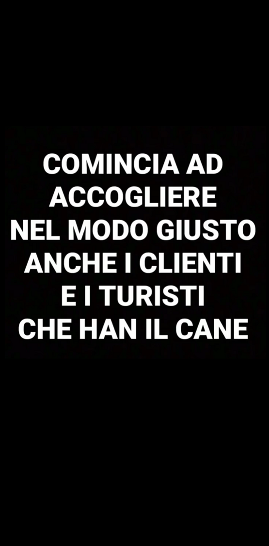 apericane - bar - comincia ad accogliere