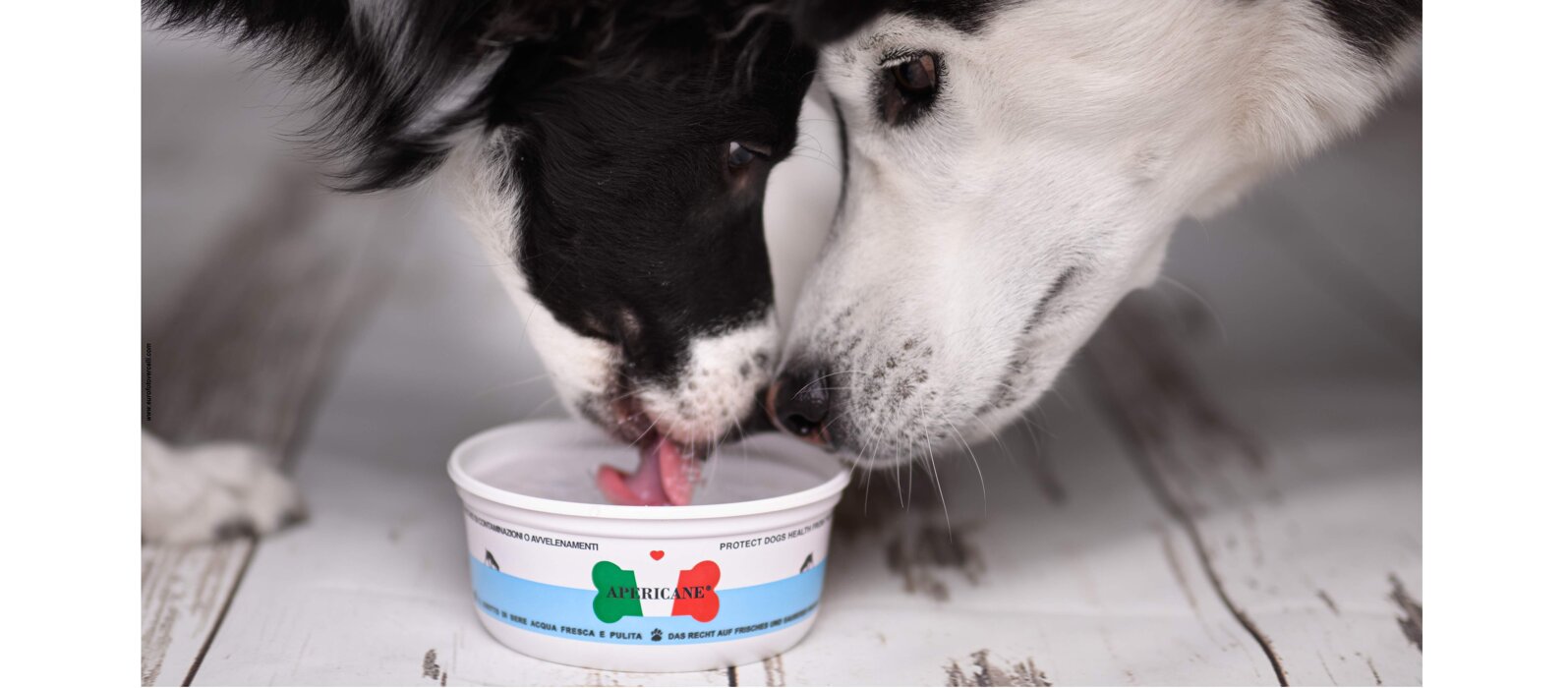 312980f5-7540-456e-84cc-421dfcca5a95