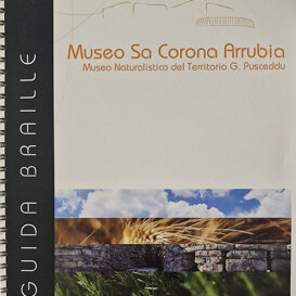 stampa Braille - mappa tattile - targa Braille brochure tattile