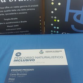 stampa Braille - mappa tattile - targa Braille Targa Braille