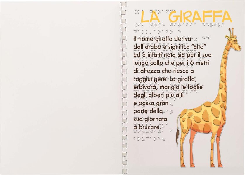 stampa Braille - libri tattili - libri Braille