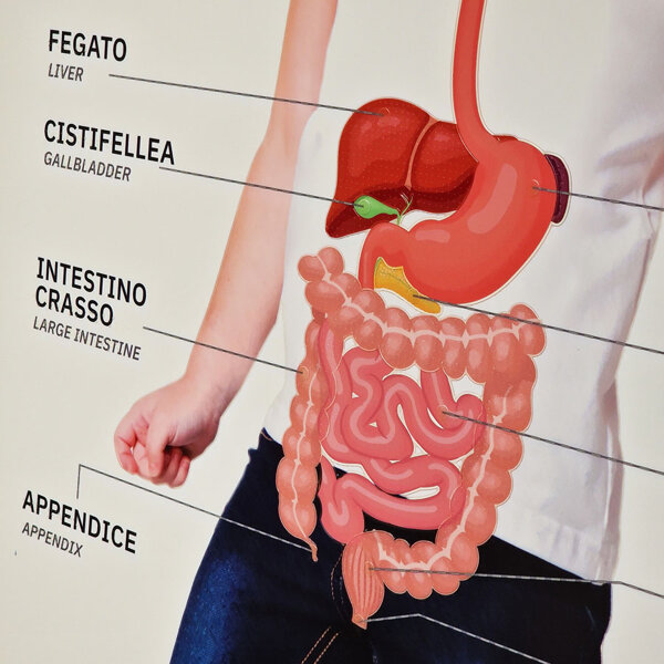 Targa Braille - particolare
