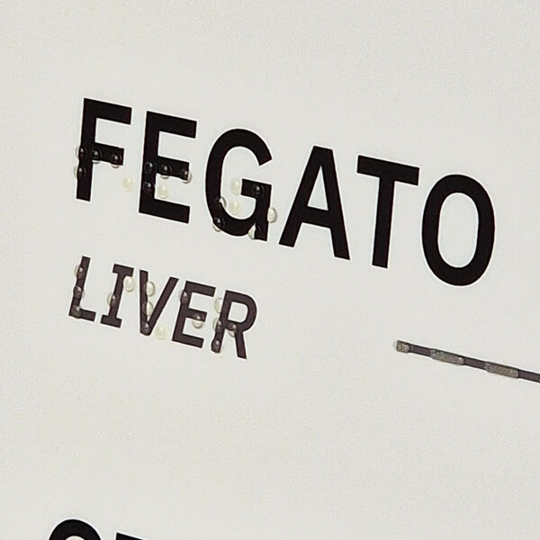 Targa Braille - particolare