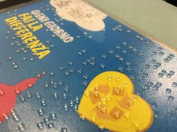 Stampa Braille-Targa tattile-Mappa tattile