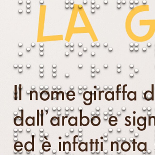 stampa Braille - libri tattili - libri Braille