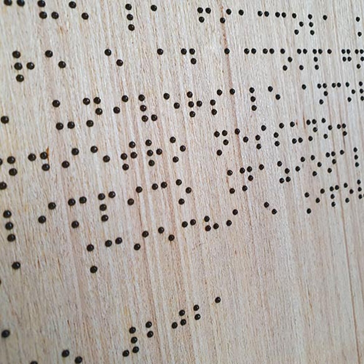 targa tattile - dettaglio