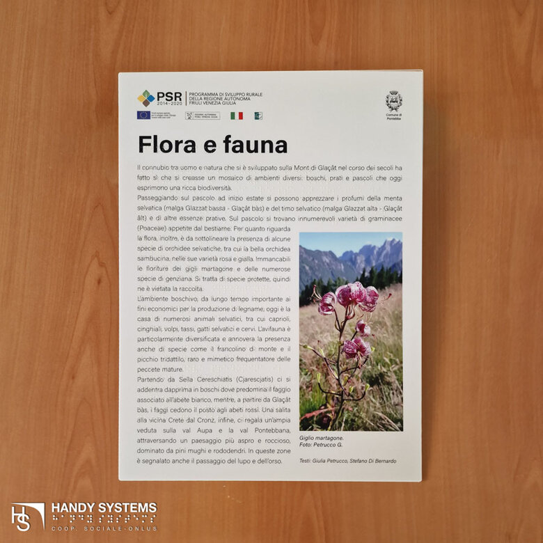 be49fd74-86f7-42bf-b4e8-80226a150852