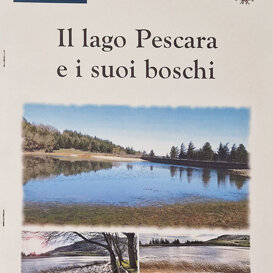 Stampa Braille-Targa tattile-Mappa tattile