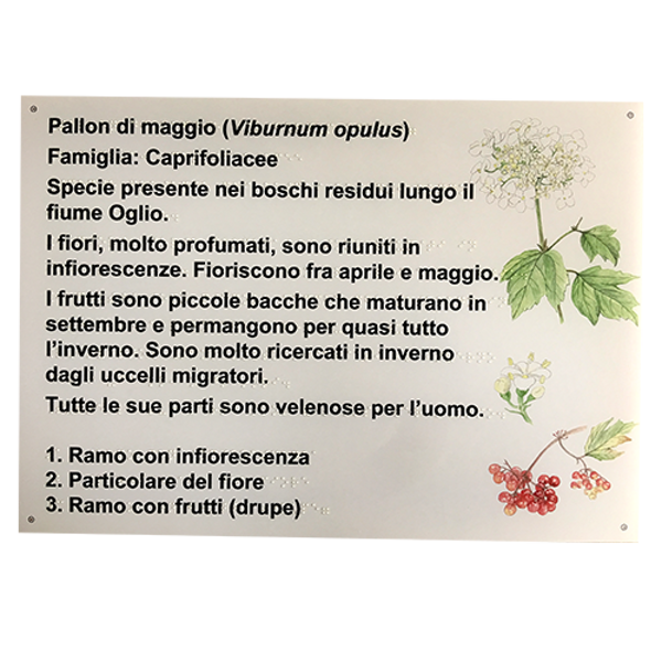 targa Braille - stampa in Braille