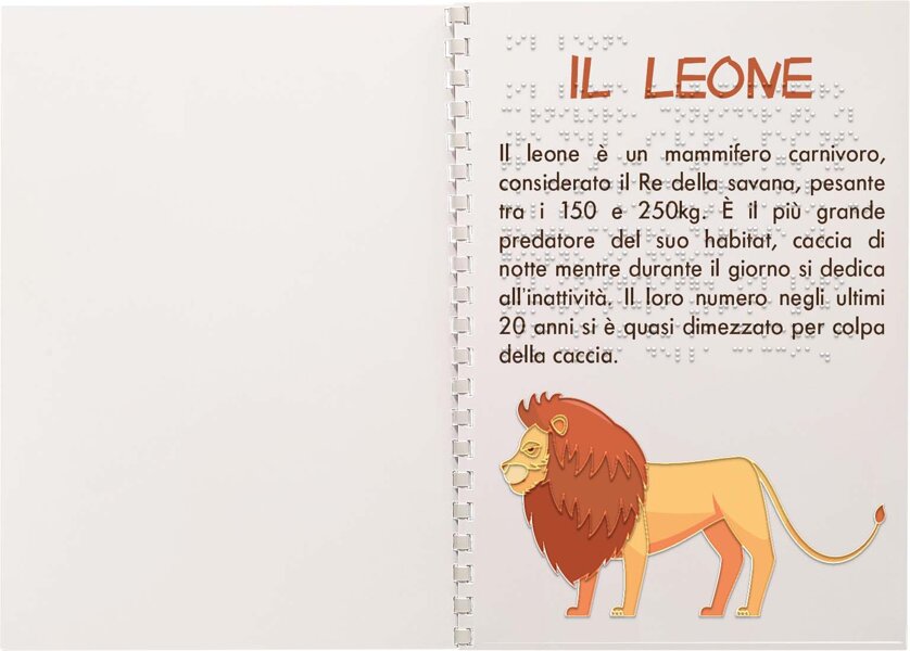 stampa Braille - libri tattili - libri Braille