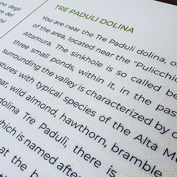 in quadricromia e Braille in trasparenza.