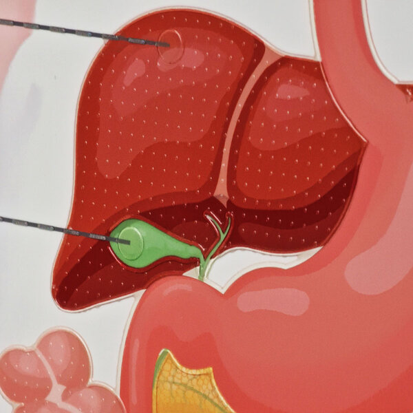 Targa Braille - particolare