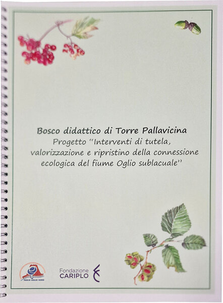 brochure in quadricromia e Braille brochure in quadricromia e Braille