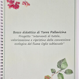 stampa Braille - mappa tattile - targa Braille brochure tattile
