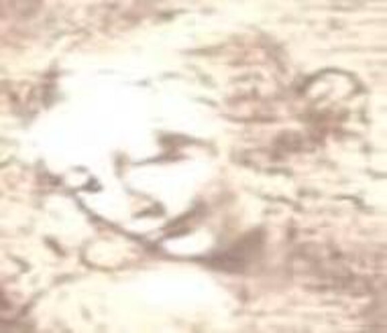 366c3528-0550-4bb2-8d5e-f2a785876d0b