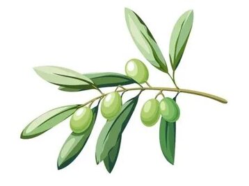 95e80cc3-c222-4bff-8ff6-b0d195e56867 95e80cc3-c222-4bff-8ff6-b0d195e56867